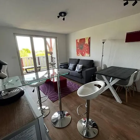 Lejlighed Le Nid Du Teich *