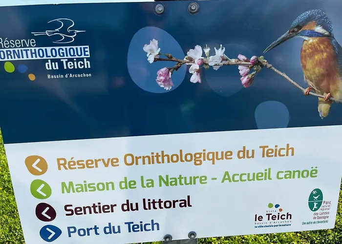 Apartman Le Nid Du Teich Le Teich